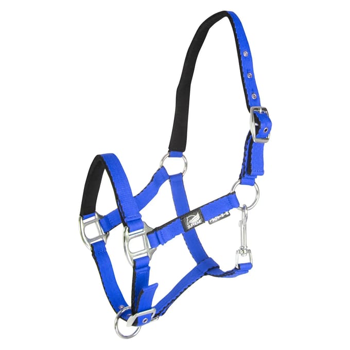 Halsband voor veulen met dubbele afstelling Supreme