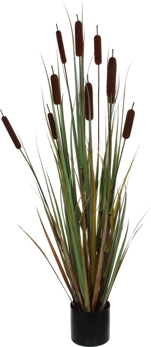 Mica Decorations Lisdodde Kunstplant - H120 x Ø15 cm - Bruin