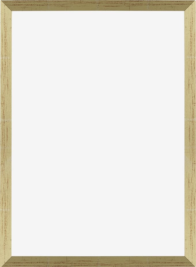 Fotolijst 49x68 cm - MDF - Goud Glans - Marseille