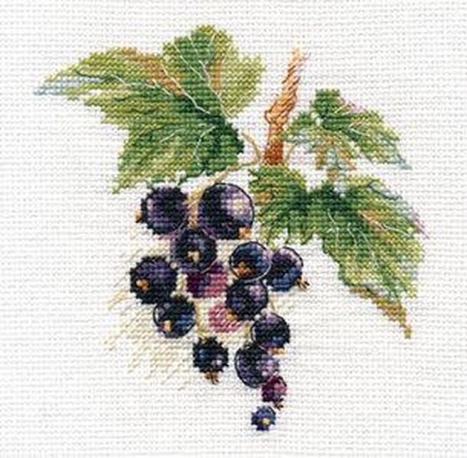 Borduurpakket Blauwe Bessen - Alisa