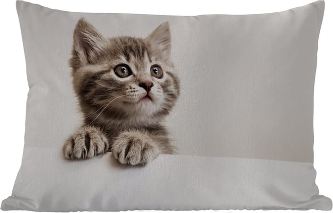 Buitenkussens - Tuin - Poes - Grijs - Dieren - 50x30 cm