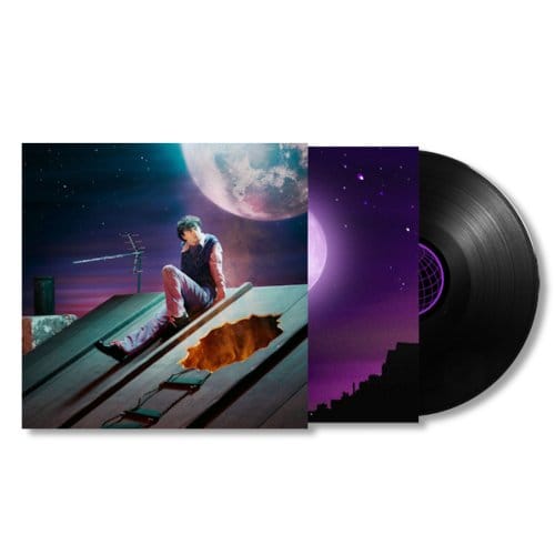 Mellow Moon - Alfie Templeman