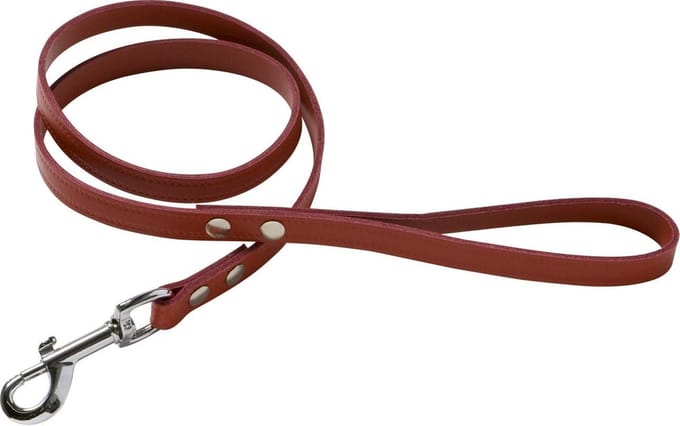 Adori Looplijn Leer Met Print Rood - Hondenriem - 100x1 cm