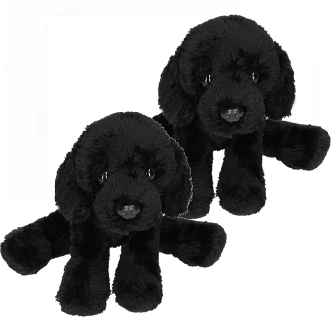 Suki Gifts Labrador knuffel hond - Zwart pluche speelgoed - 2 stuks van 12 cm