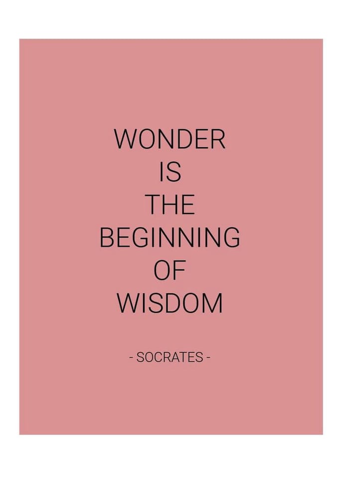 Planner - Softcover - Roze - Quote - Socrates - Weekplanner - Werk - Studie - Dagboek - Uniek - Elastiek