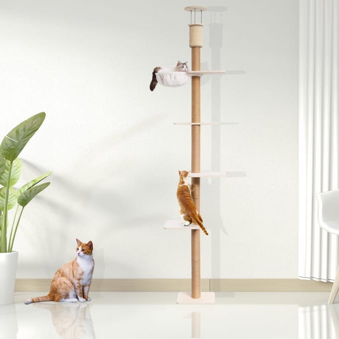 Krabpaal Voor Grote Katten - Kattenboom - Krabpaal