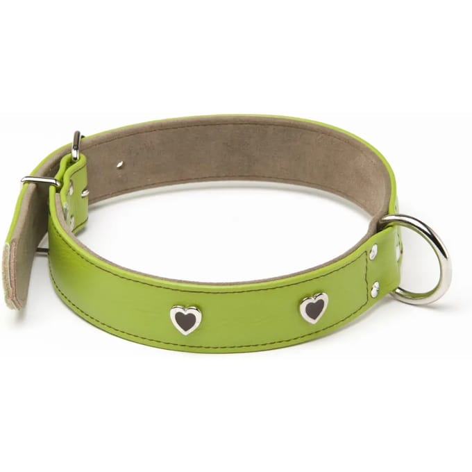 Hondenhalsband Alter Ego Citadine