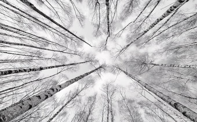 Fotobehang Weiss - Blauw - Zwart - 2,80m X 450cm