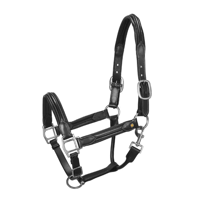 Leren halster voor paarden Equestro