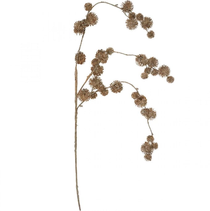 Decoratieve Tak Plataan met Vruchten Herfstdecoratie Kunst Plataan Bru