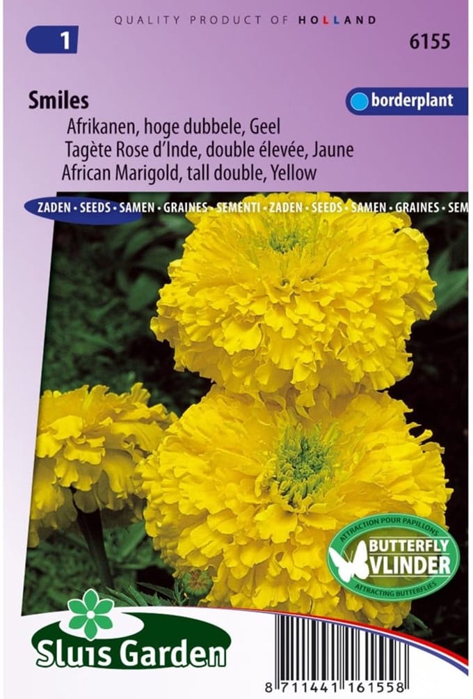 Sluis Garden - Afrikaan hoog Smiles Geel
