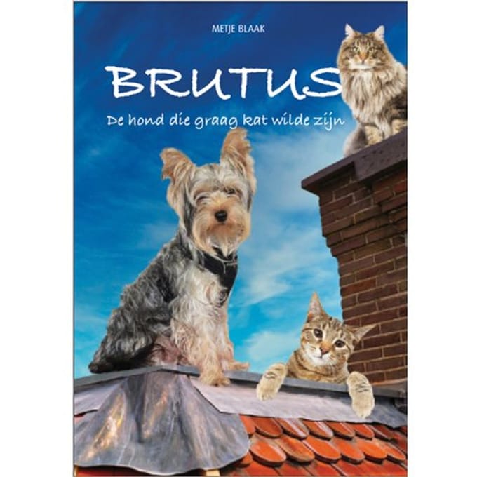 Brutus - Metje Blaak