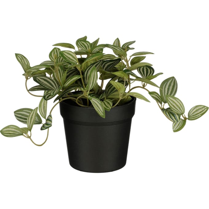 Kunstplant Mica Tradescantia in pot 16x16cm