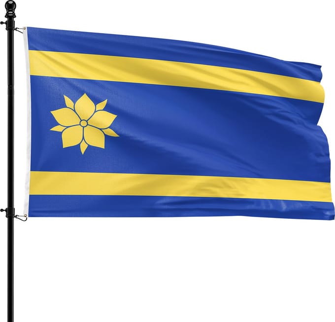 VlagDirect - Hattem vlag - Gemeente Hattem vlag - 90 x 150 cm.