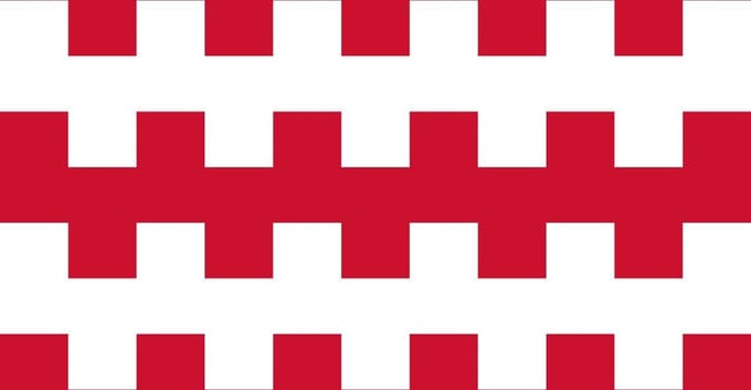 Vlag Dongen 150x225cm