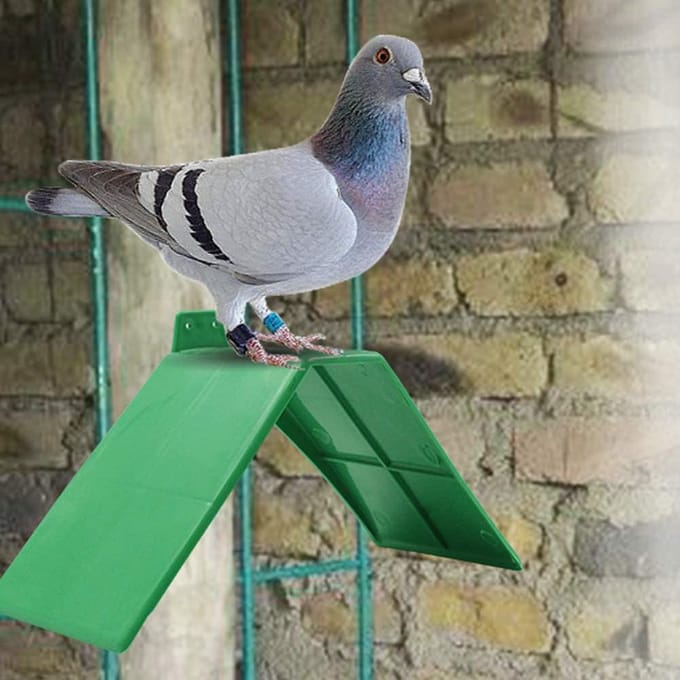 10 STUKS Duiven Ruststand Plastic Duiven Vogelstand Stokken Antislip Duif Vogelstok Vogelhouder blue