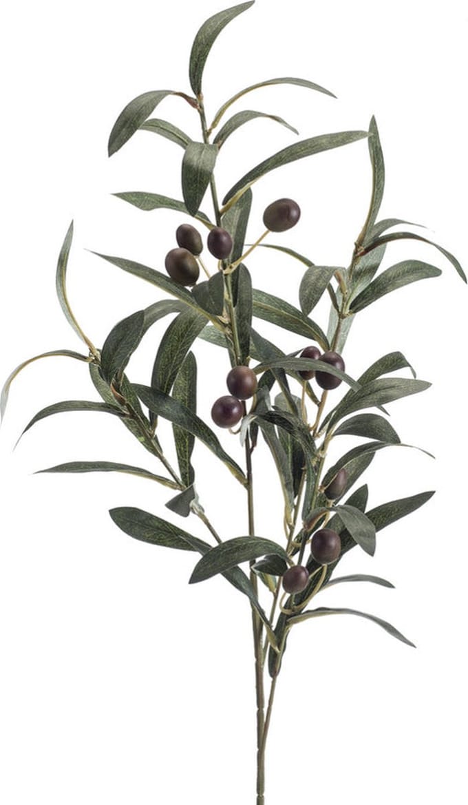 Emerald - Kunsttak Olijf 75cm - Kunstplant voor binnen