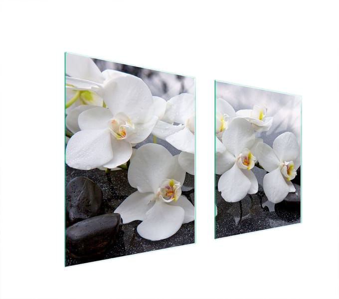 TMK ArtDeko - Orchidea - Glazen Beschermplaat - 85x52 cm - Meerkleurig