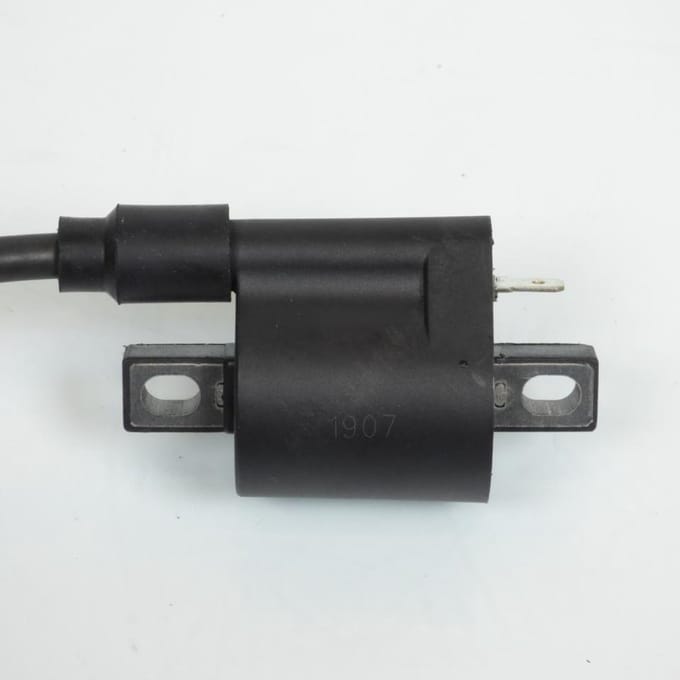 Bobine d'allumage HT P2R pour Moto Chinois 50 motocycle Neuf