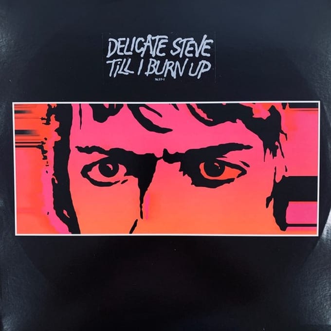 Delicate Steve - Till I Burn Up (LP)