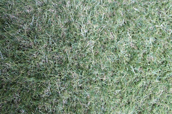 Niba® Kunstgras - 1x4m² - 30mm - Grastapijt - Groen - UV bestendig