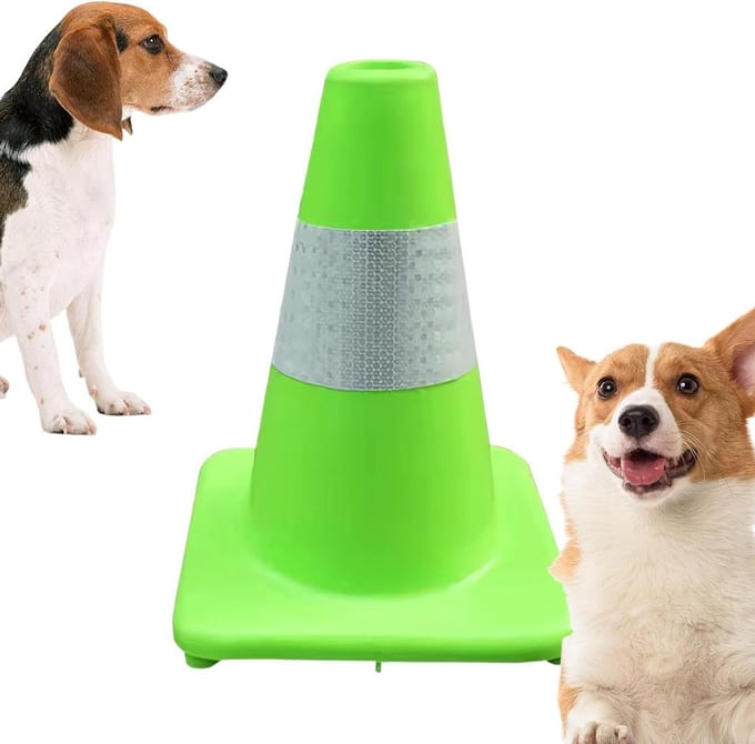 Hondenplas Post - Hondentoilet Binnen - Zindelijkheidstraining Hond - Handig 3D Cilinderontwerp - 30x20x20 cm - Grijs