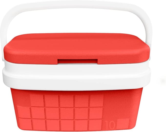 Draagbare Koelkast 10L met Handgreep - Ideaal voor Camping en Strand