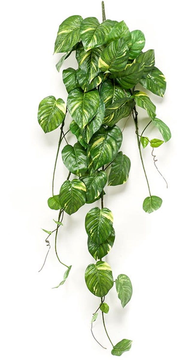 Scindapsus pictus bush green/grey 24 cm kunstbloem zijde nepbloem E...