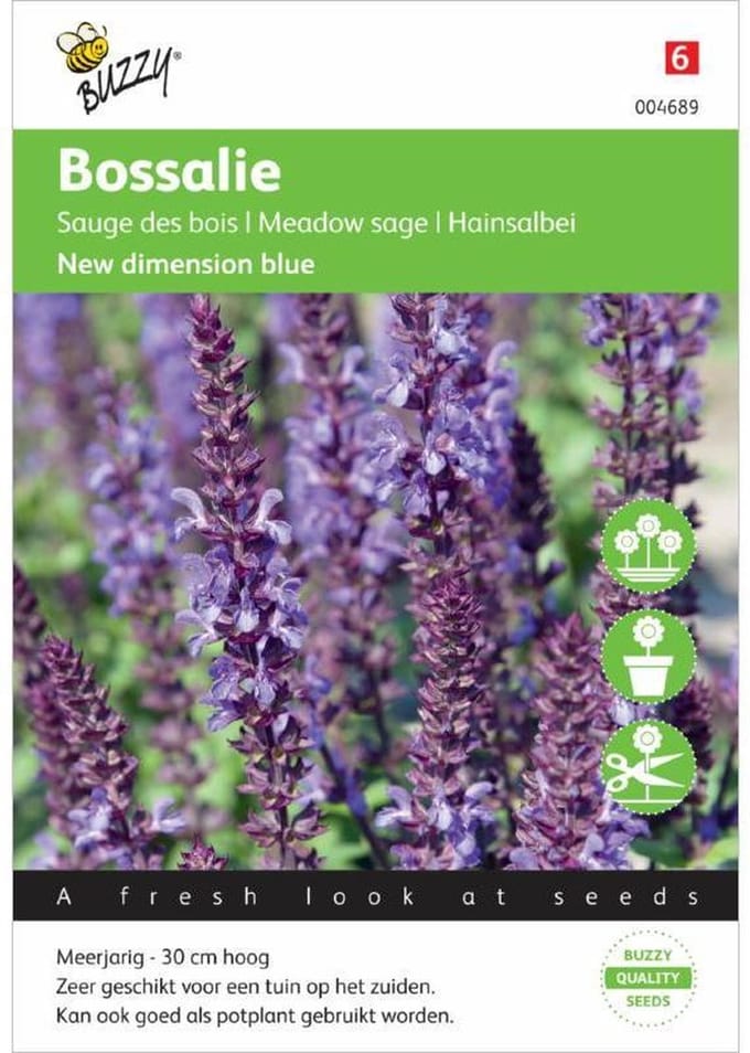Buzzy® Salvia nemorosa New Dimension Blue
