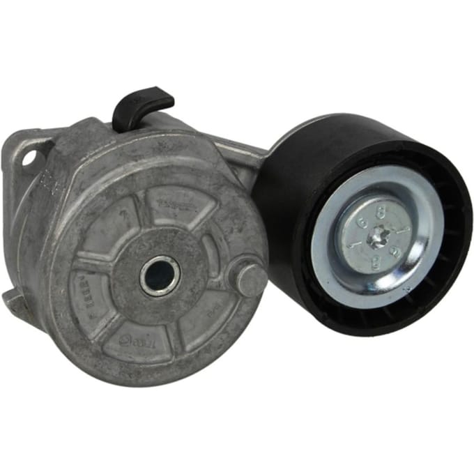 Riemspanner, Poly V-riem DAYCO APV2732