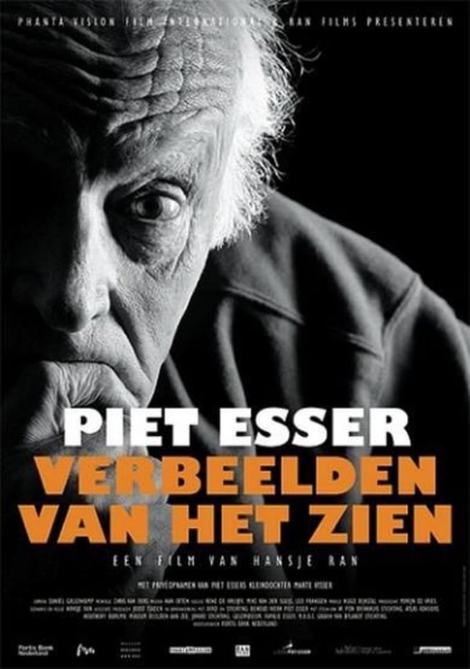 Piet Esser - Verbeelden van het zien (DVD)
