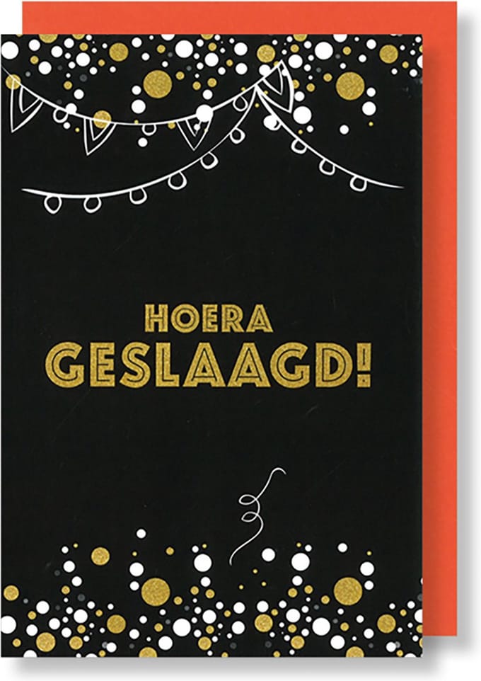 MGPcards - 6 Wenskaarten met gekleurde envelop - Geslaagd - Hoera - 11,5 x 17 cm