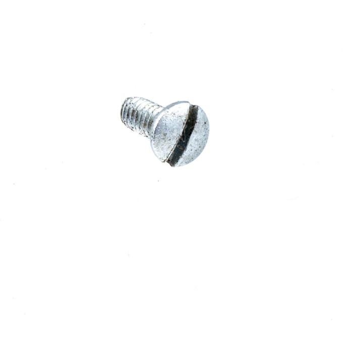 Screw