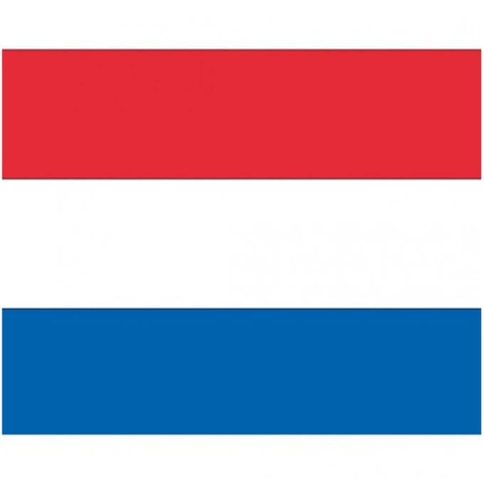 50x Vlag Nederland stickers