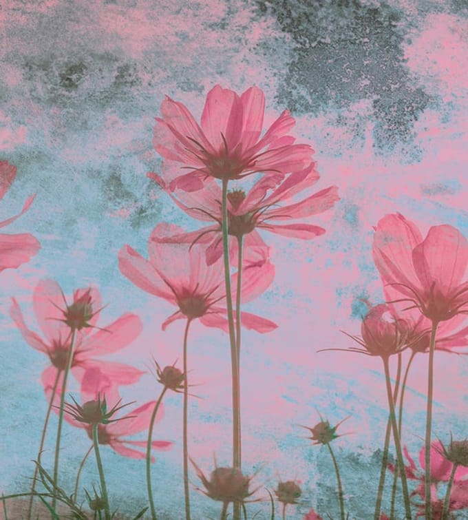 Fotobehang - Pink Flower Abstract 225x250cm - Vliesbehang