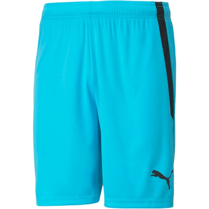 Kort Puma Team Liga