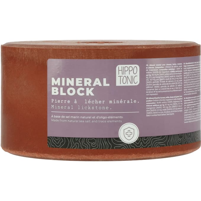 Paard zoutsteen Hippotonic Mineral block