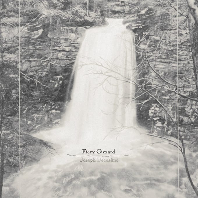 Joseph Decosimo - Fiery Gizzard (LP) (Coloured Vinyl)