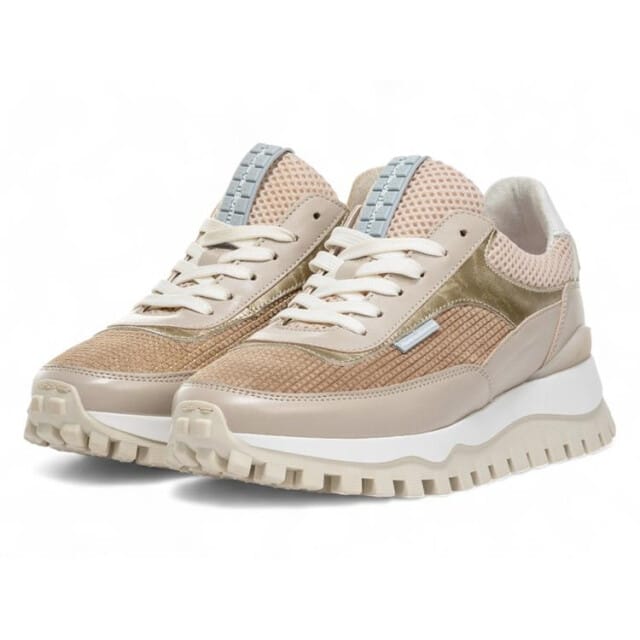 Floris van Bommel Sfw-10100