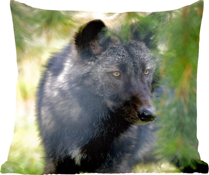 Sierkussens - Kussentjes Woonkamer - 60x60 cm - Wolf - Macro - Bladeren