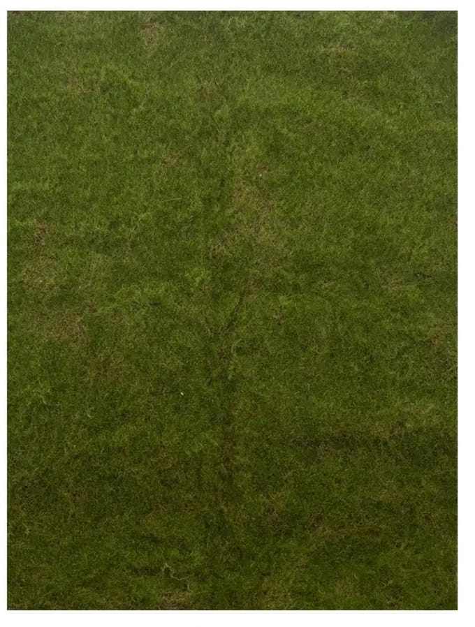 Kunstmat Moss Green - 100x100 cm