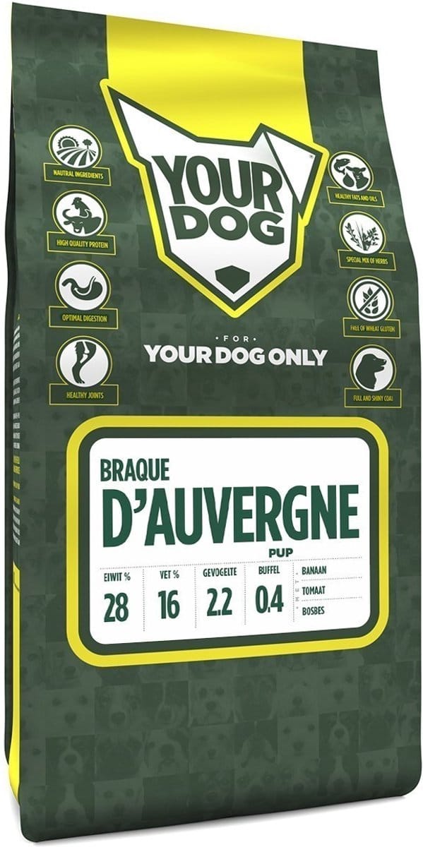 Yourdog braque d'auvergne pup - 3 KG