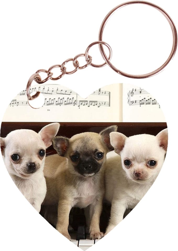 Sleutelhanger hartje 5x5cm - Chihuahuas op Piano