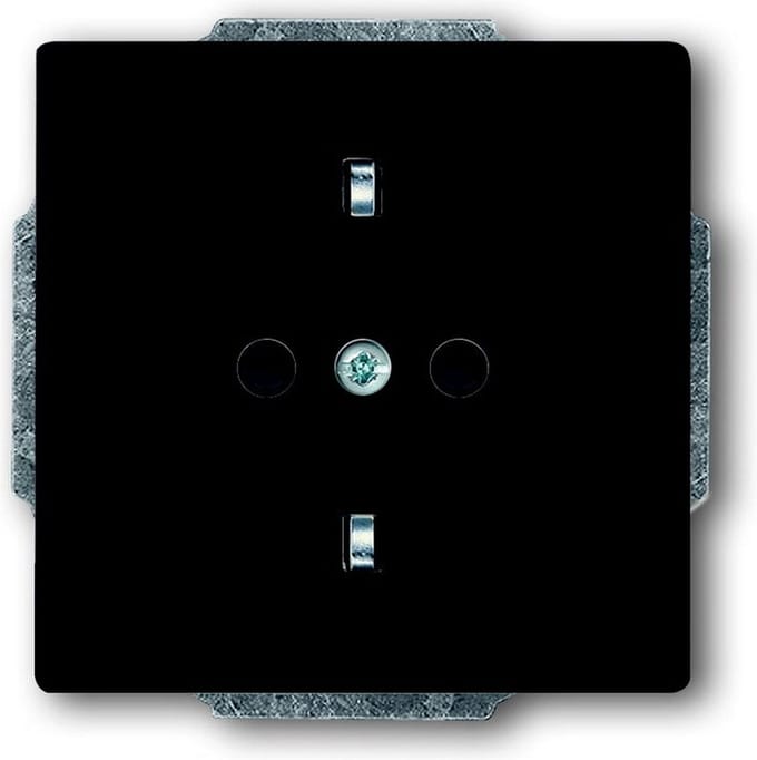 ABB Busch-Jaeger Future Wandcontactdoos (WCD-Schakelmateriaal) - 2CKA002013A5265 - E2H89