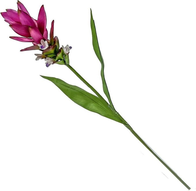 HomeBound by KY | Kunstbloem Siamese tulp fuchsia | kunstbloem