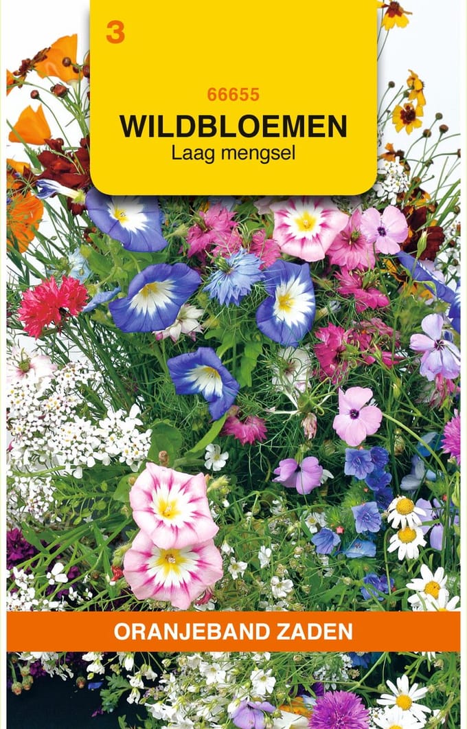 Oranjebandzaden -  Wildbloemen mengsel eenjarig, laag