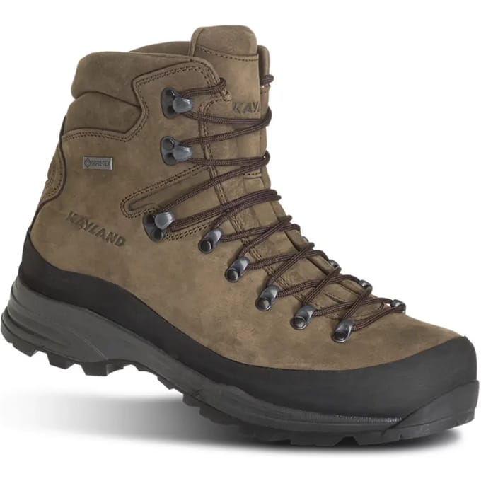 Wandelschoenen Kayland Globo GTX