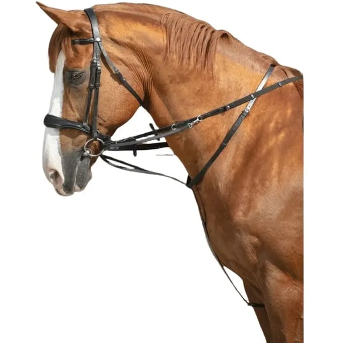 Paard longeert teugel Norton Thiedeman Pro