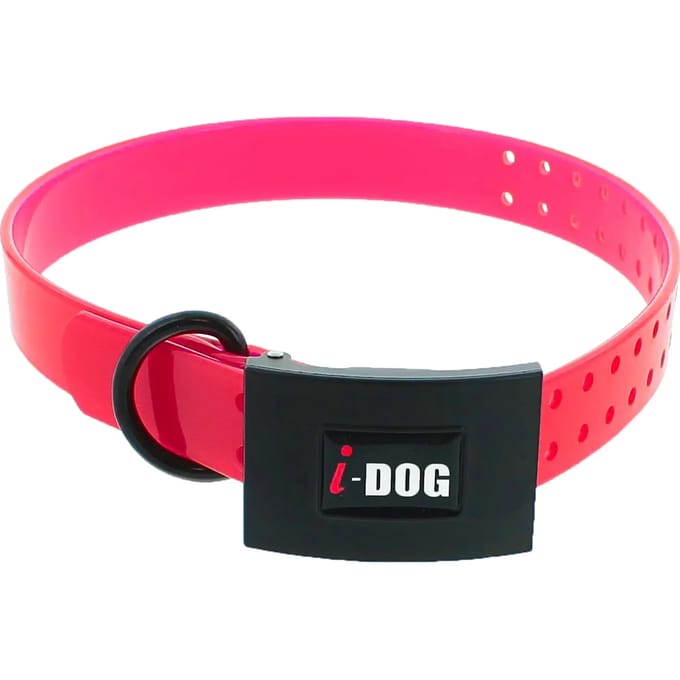 Hondenhalsband I-DOG Premium