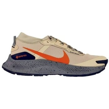 Hardloopschoenen Nike Pegasus Trail 3 Gtx